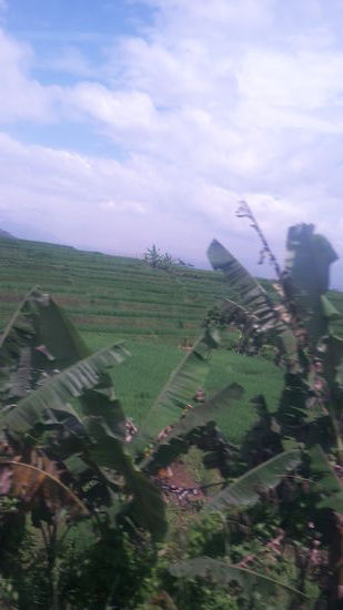 .... so gefällt es mir!