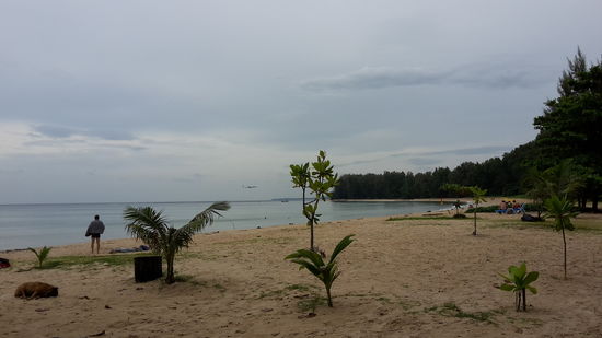 Der Beach Nai Yang - und ein Suchbild: wo die linke Palme ihr Ärmchen nach rechts streckt, dort in der Verlängerung findet ihr den Flieger, der gleich in Phuket landet.