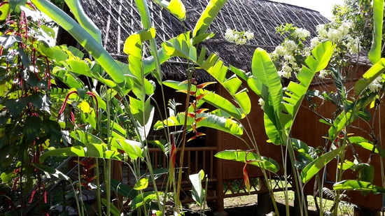 Blick von meiner Terasse.