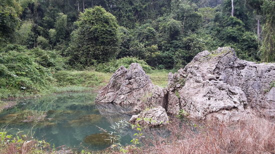 Kurz vor der Matsch / Wasser Höhle,  wo unser Boot anlegte.