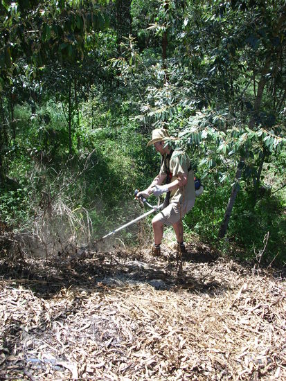 Gschbensi beim maehen!!!