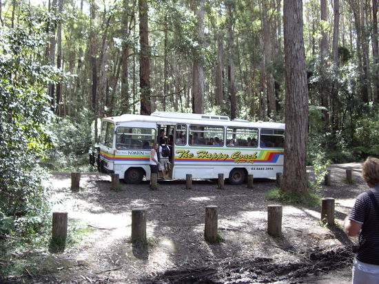 Bus nach Nimbin