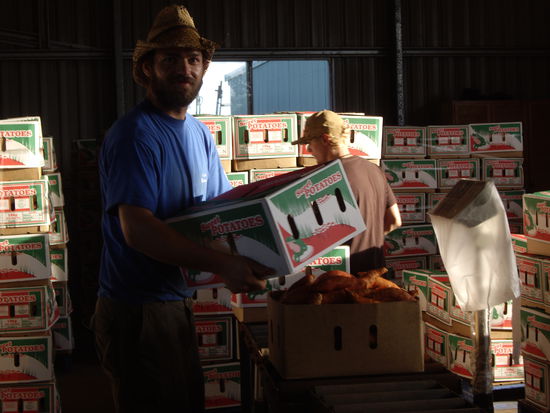 Tja ich beim Kartoffel wiegen und stapeln