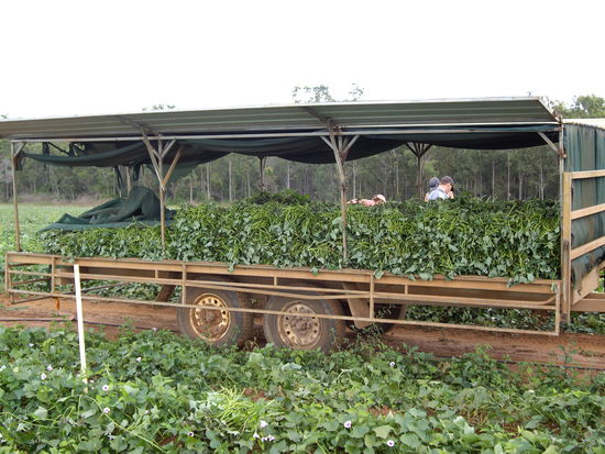 Das war die ausbeute von ca. 3,5h und sechs Leuten