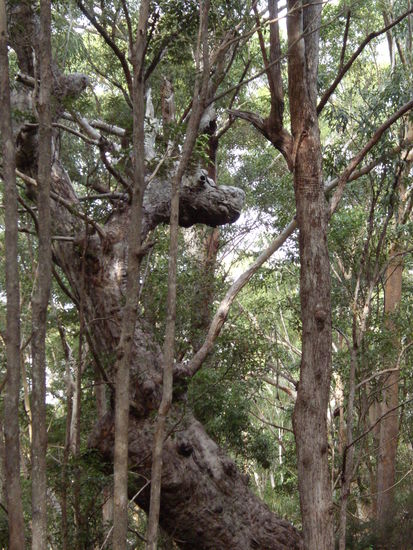 Und entdeckt ihr ihn?