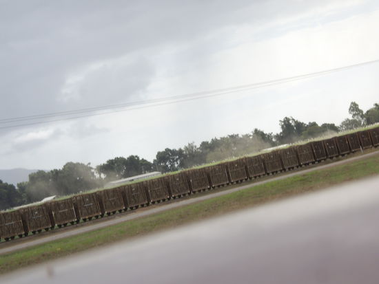 Endlos Zug mit Zuckerrohr