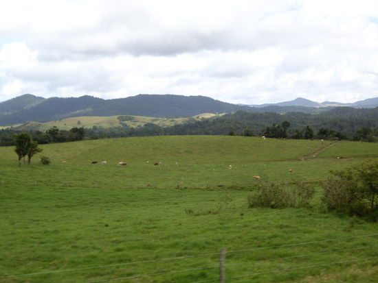 Bild unter der Fahrt vom Auto aus
schaut fast aus wie Dahoam!!!