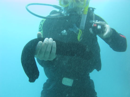 Stephan mit Seegurke