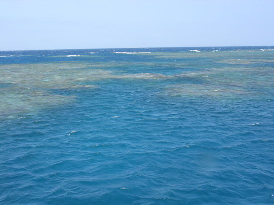das Reef vom Boot aus