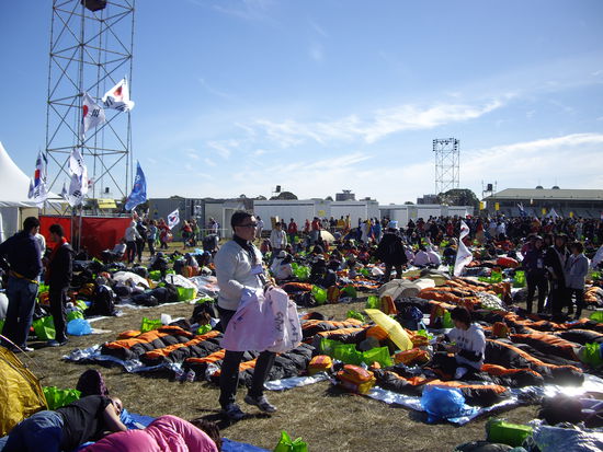 Meine Nachbarn auf Randwick Racecourse, da wars noch ruhig!!!