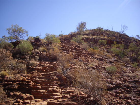 diese Treppen (schwer zu erkennen) gings hoch!