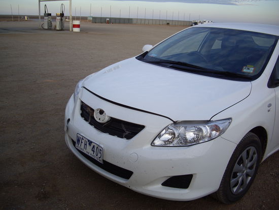 grosser Vogel nicht unerheblicher Schaden