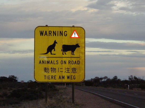 aufpassen heissts da!