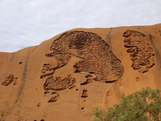 schaut fasr wie ein menschliches Gehirn aus!?!
