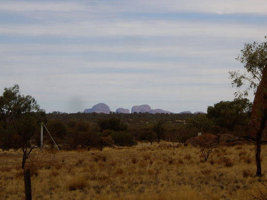 die Olgas in der Ferne