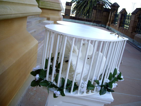 was waere eine Hochzeit ohne weisse Tauben ---> eine bayerische 