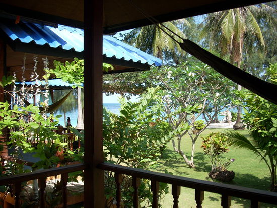 Blick von unserer Veranda mit Haengematte.