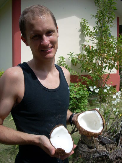 frisch von der Palme