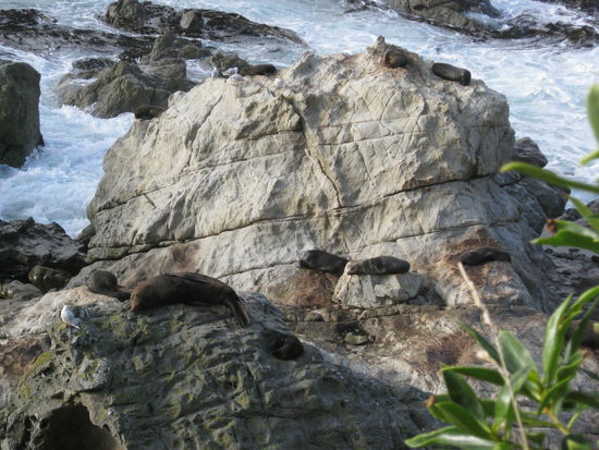 faul in der Sonne rumflaezen