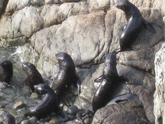 und im Wasser rumtollen