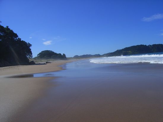 ... oder mich wenigstens erfischen...