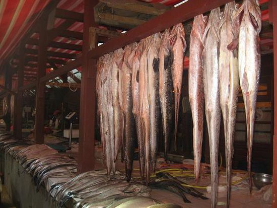 Lachse und Congrios am Fischmarkt