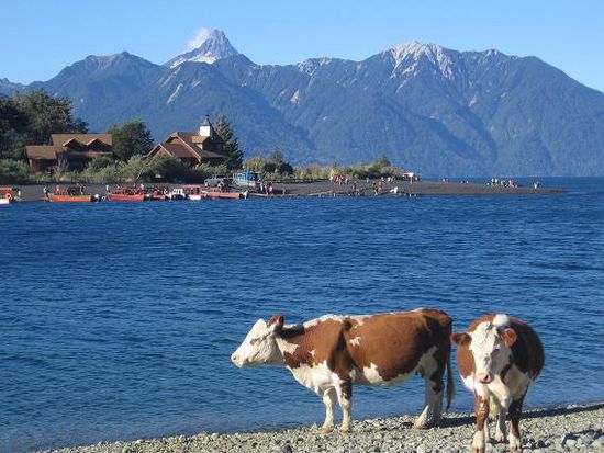 Aussicht vom Campingplatz auf Petrohue mit dem Vulkan Puntiagudo im Hintergrund