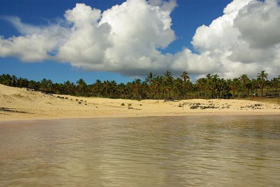 Die Bucht von Anakena