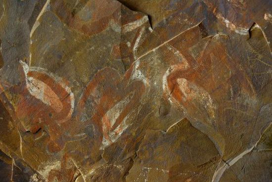 Vogelmaenner an den Fels gemalt
