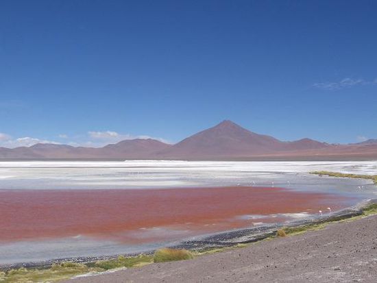 Die Laguna Colorada