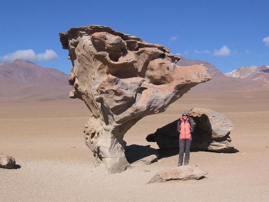 Arbol de Piedra