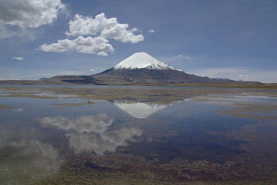 Der Parinacota