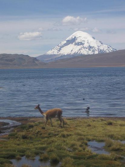 Der Sajama, schon auf der bolivianischen Seite.