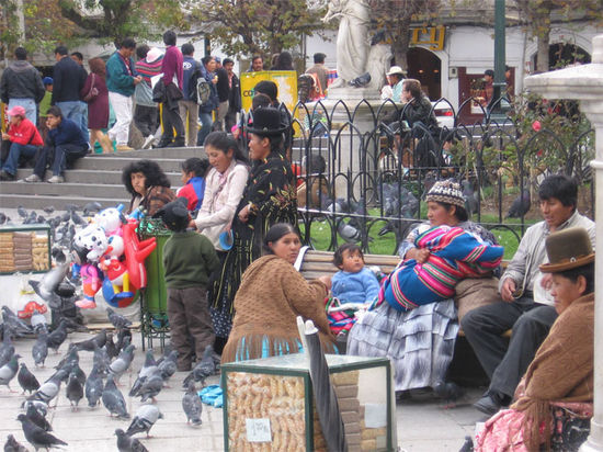 Hier wird das Futter gekauft...