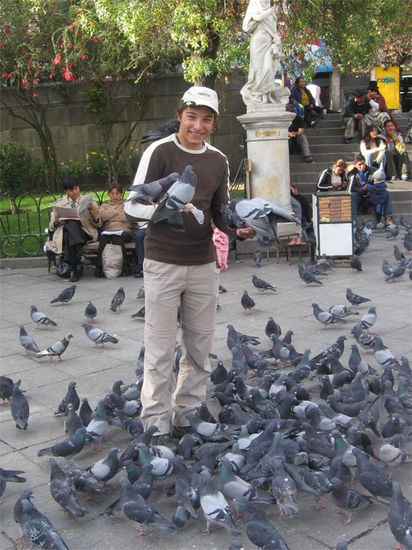 ... und so siehts aus, wenn man es verteilt!