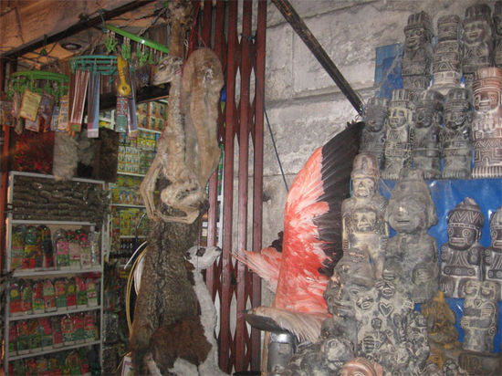 Ein typischer Stand mit Flamingofluegel, Lamababies, allen moeglichen Heilmittelchen (links), und Steinamuletts (rechts).