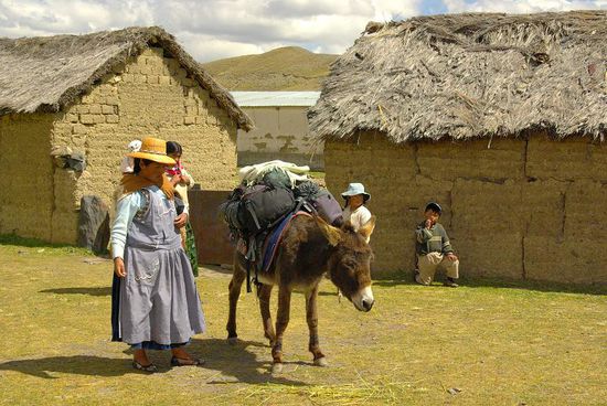 In Tuni nach dem beladen des Muli