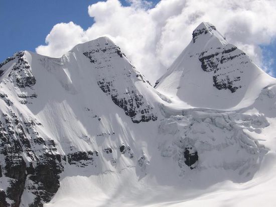 Cabeza de Condor in Nahaufnahme