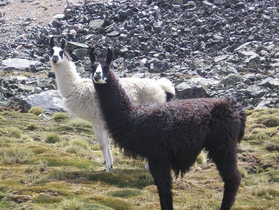 ... hatten wir Zuseher.