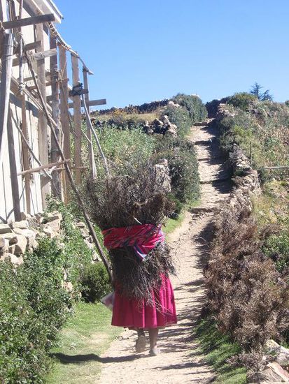 Auf der Insel gibts keine Autos, alles muss entweder auf dem Ruecken oder mit Eseln transportiert werden
