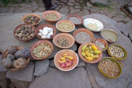 Eine Auswahl an Andenspezialitaeten. Unter anderem Oca (gelbe Wurzeln), das Andenkorn Quinua (grau), Mais (ganz rechts), Chuños (weisse getrocknete Kartoffeln), und die Erde (rechts oben)