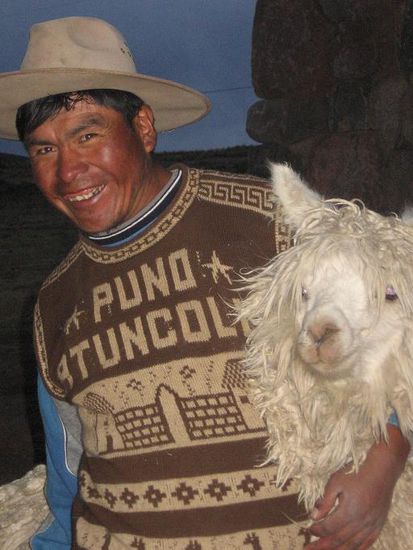 Der Hausherr mit Alpaca