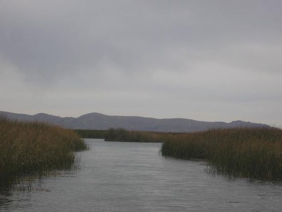 In diesen Wasserstrassen im Totora-Schilfguertel fahren die Schiffe