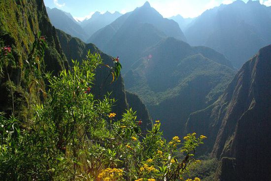 Ueppiger Wald bedeckt die Berge