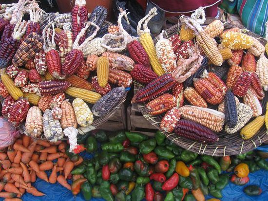 In Peru gibt es unglaublich viele Maissorten