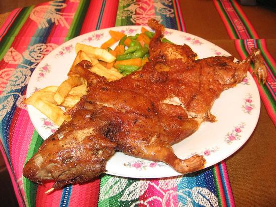 Wir habens nochmal probiert, das Cuy!