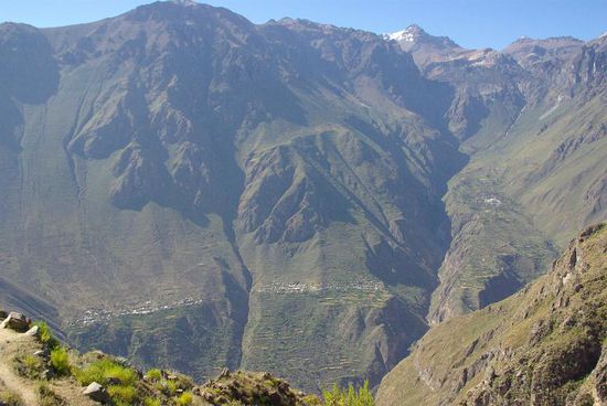 Der Colca Canyon. Die weissen Punkte unten sind die zwei Doerfer, durch die wir am zweiten Tag durchgewandert sind.