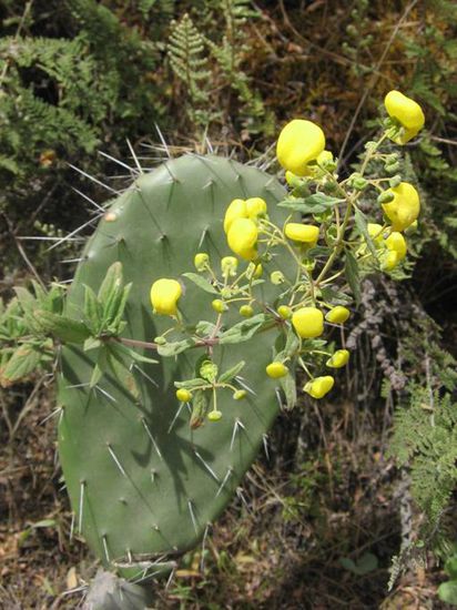 ... und das auf ueber 3500 Metern!