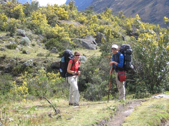Und immer noch blueht alles, obwohl wir immer hoeher steigen