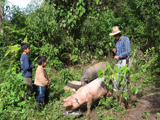 Mitten im Wald trafen wir auf diese kleine Familie, weit und breit wohnt sonst niemand.